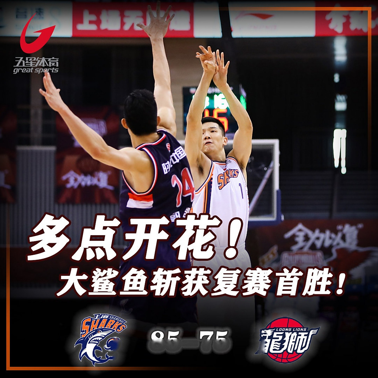 关于深圳大鲨鱼再登榜首，斩获连胜的信息