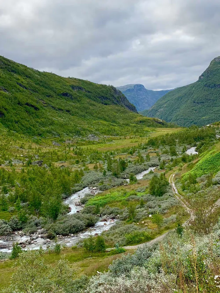 关于丹麦队击败芬兰,晋级之路依然光明的信息 关于丹麦队击败芬兰,晋级之路依然光明的信息